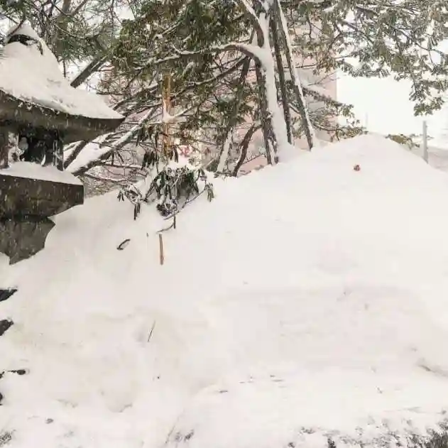 彌彦神社 (伊夜日子神社)の自然