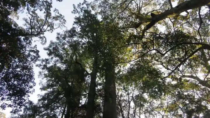 伊勢神宮内宮(皇大神宮)の自然