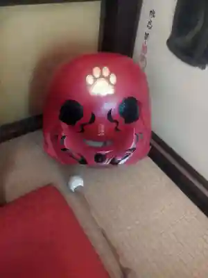 猫猫寺(京都府)