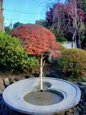 正覚院(東京都)