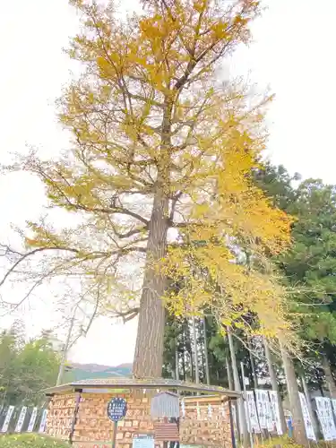 秋保神社の自然
