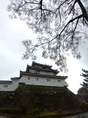 和歌山縣護國神社の{uncategorized: "未分類", other: "その他", undefined: "問題あり", building: "その他建物", grave: "お墓", sacred_gate: "鳥居", guardian: "狛犬", statue: "像", buddha: "仏像", history: "歴史", nature: "自然", garden: "庭園", animal: "動物", pagoda: "塔", temizu: "手水舎", mountain_gate: "山門・神門", sanctuary: "本殿・本堂", subordinate: "末社・摂社", art: "芸術", scenery: "景色", jizo: "地蔵", ema: "絵馬", goshuin: "御朱印", omikuji: "おみくじ", items: "授与品その他", amulet: "お守り", goshuincho: "御朱印帳", eats: "食事", festival: "お祭り", votive_dance: "神楽", shichigosan: "七五三参", wedding: "結婚式", experience: "体験その他", initially: "初詣", around: "周辺", anti_infection: "感染症対策"}