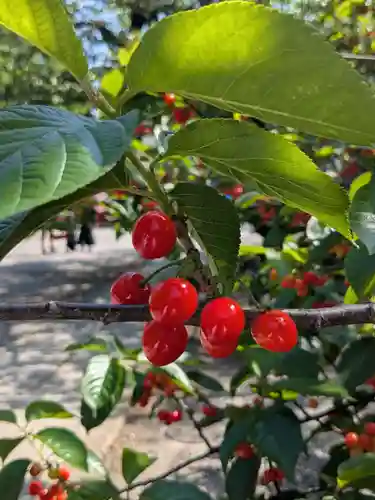 今戸神社(東京都)