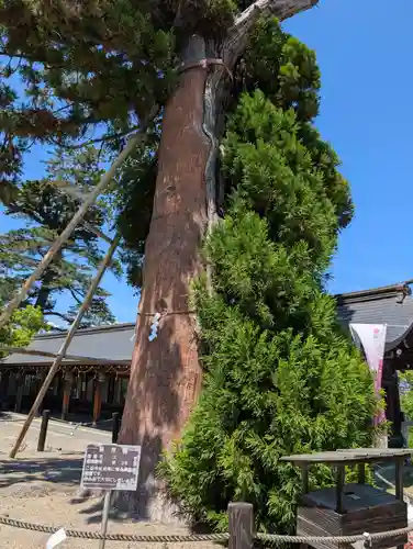 吉備津彦神社(岡山県)