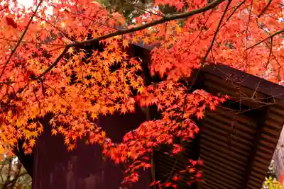 新海三社神社(長野県)