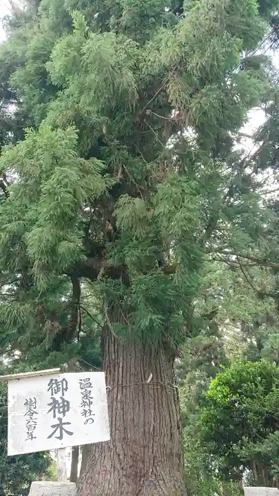 小川温泉神社のその他建物