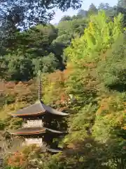 金剛院(京都府)