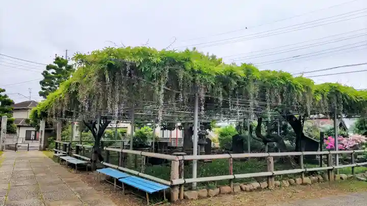 高圓寺(千葉県)