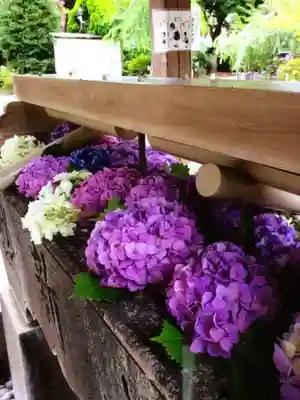 鳩森八幡神社の手水舎