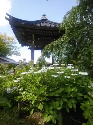 陽林寺(福島県)