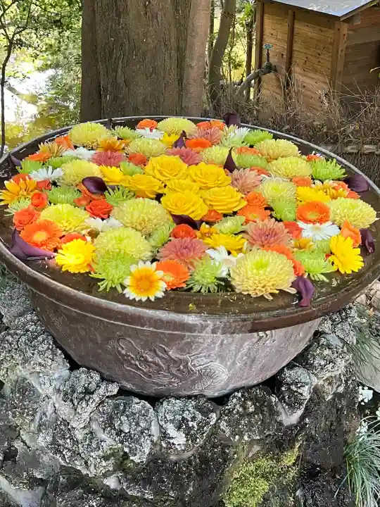 武蔵一宮氷川神社(埼玉県)