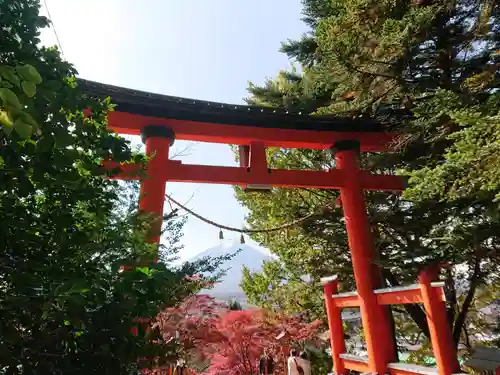 新倉富士浅間神社の鳥居