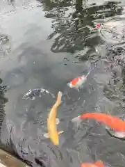 石母田　三吉神社(福島県)