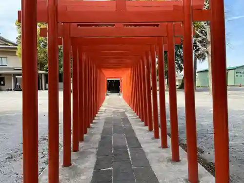 箭弓稲荷神社の鳥居