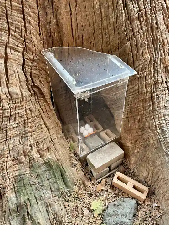 楠珺社(住吉大社末社)(大阪府)