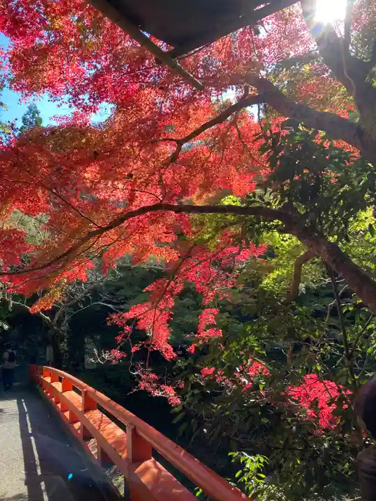 西明寺(京都府)