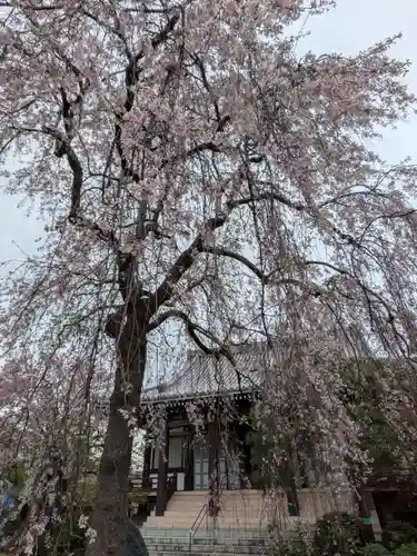 圓照寺(東京都)