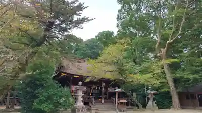 廣瀬大社(奈良県)