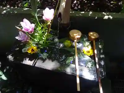 稲毛神社の手水舎