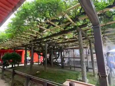 春日大社(奈良県)