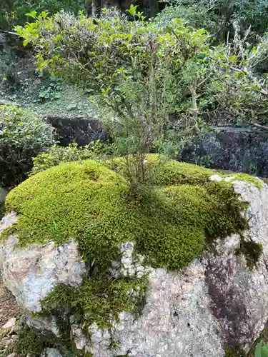 宝林寺(京都府)