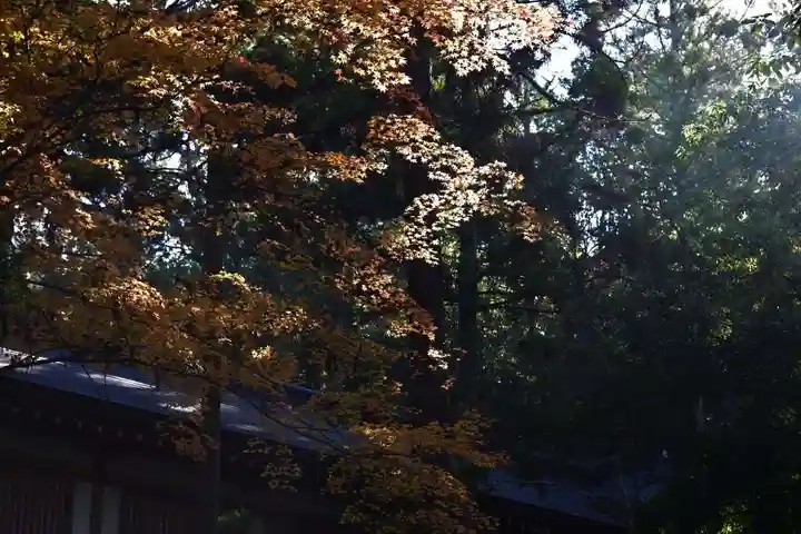 大神神社(奈良県)