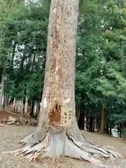 滑川神社 - 仕事と子どもの守り神の自然