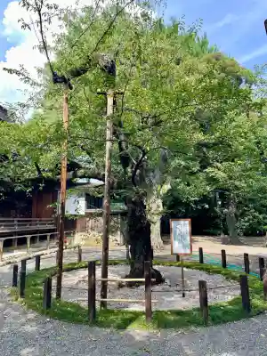 靖國神社(東京都)