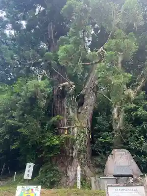 高岡神社(岡山県)