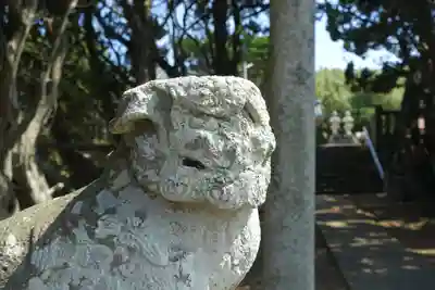 大杉神社(千葉県)