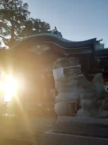 瀬田玉川神社の狛犬