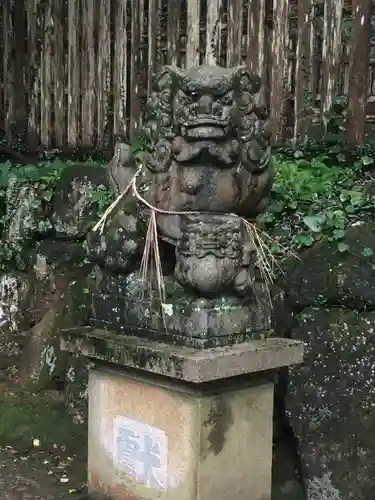 阿射加神社の狛犬