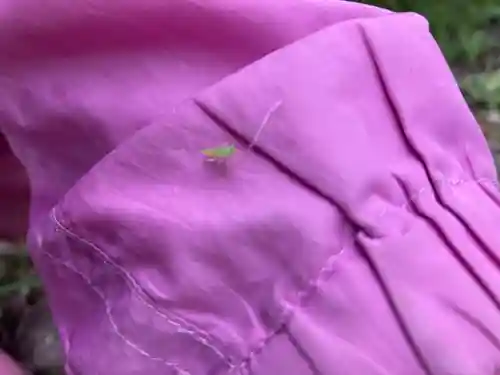 蓮久寺(千葉県)