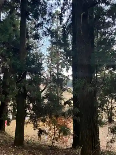 大宮温泉神社(栃木県)