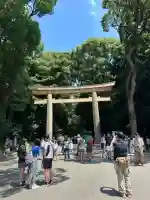 明治神宮(東京都)