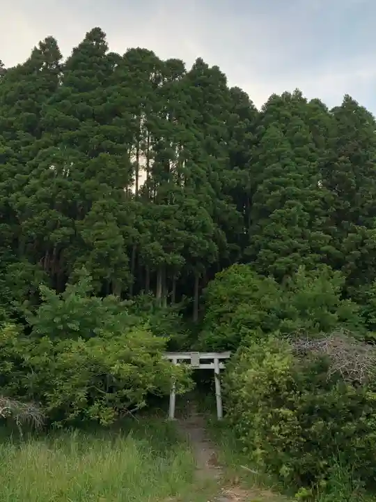 熊野権現(千葉県)
