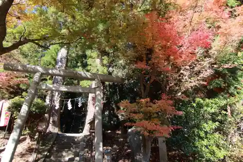 鹿島大神宮の鳥居