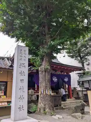 日本橋日枝神社(東京都)