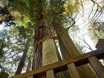 小野神社のその他建物