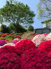 根津神社の庭園