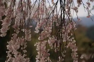堂山王子神社の庭園