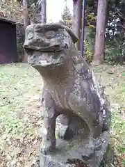 白髭神社の狛犬