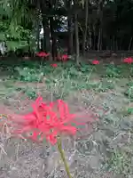 伏木香取神社(茨城県)
