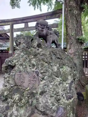 牛嶋神社の狛犬