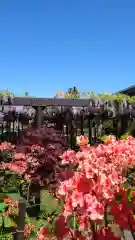 相馬神社の自然