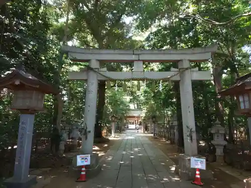 駒木諏訪神社の鳥居