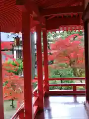 大覚寺の建物その他