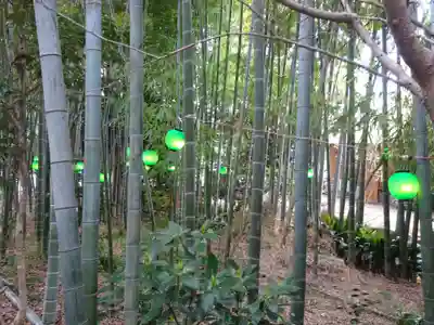 出雲大社相模分祠の自然