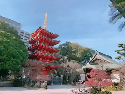 東長寺の塔