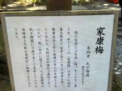 久能山東照宮(静岡県)